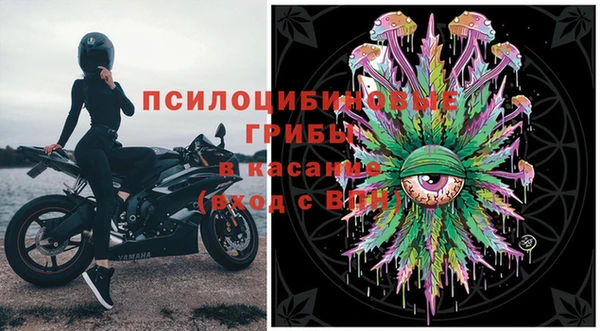 PSILOCYBIN Медногорск