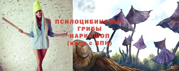ALPHA PVP Медвежьегорск