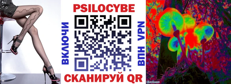 закладка  Ядрин  Псилоцибиновые грибы Psilocybe 